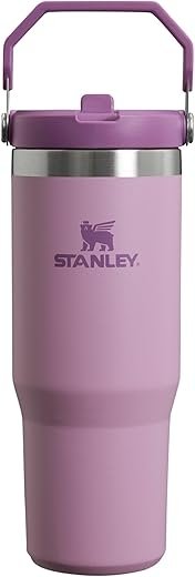 Stanley IceFlow Stainless Steel Tumbler with Flip Straw and Handle – 30 oz